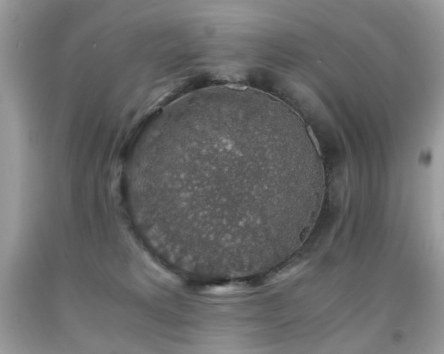 X0000091860229200709051215