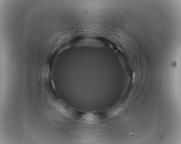 X0000091860231200709051215