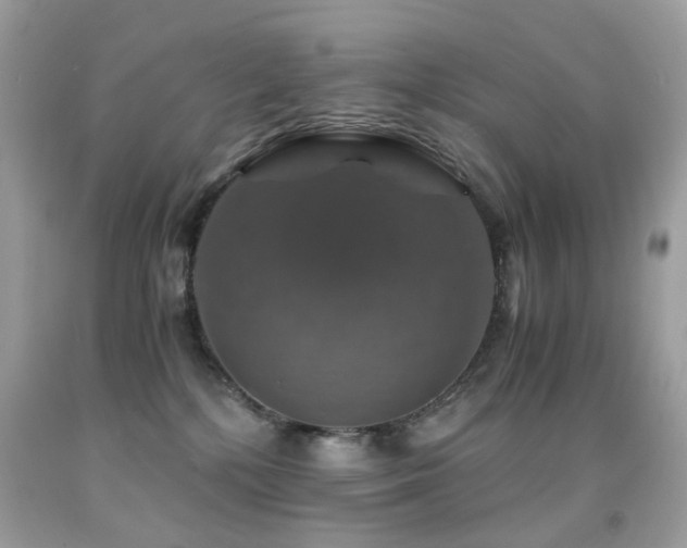 X0000091860232200709051215