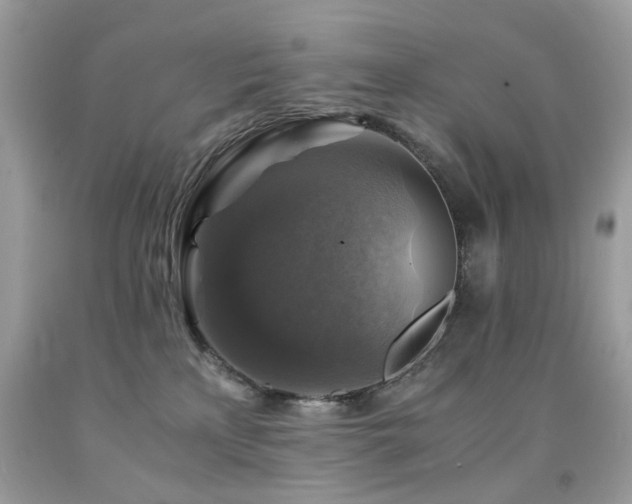 X0000091860233200709051215