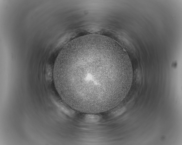 X0000091860234200709051215