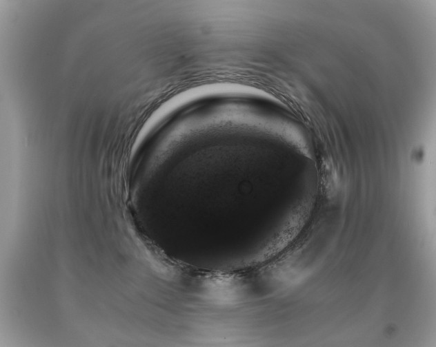 X0000091860235200709051215