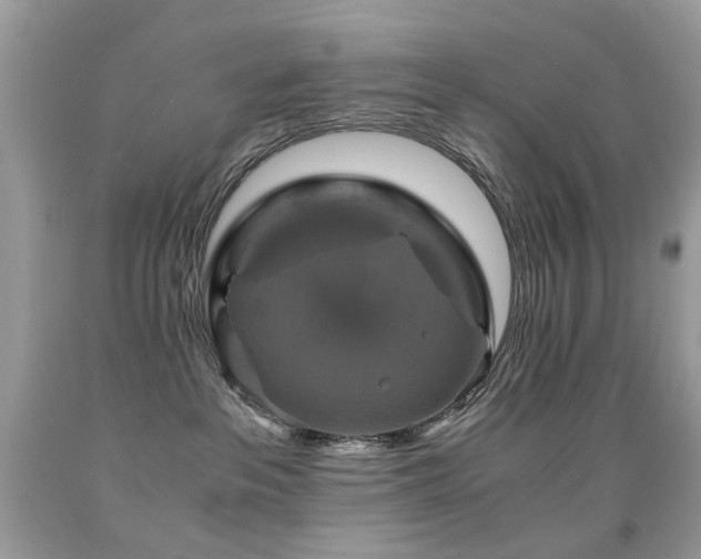 X0000091860237200709051215