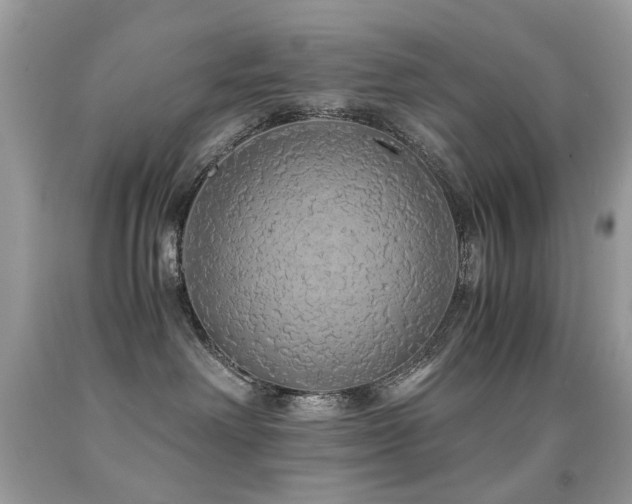 X0000091860238200709051215