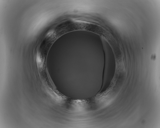 X0000091860239200709051215