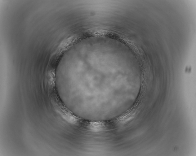 X0000091860240200709051215