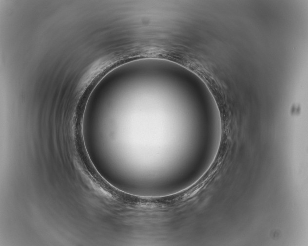 X0000091860242200709051214