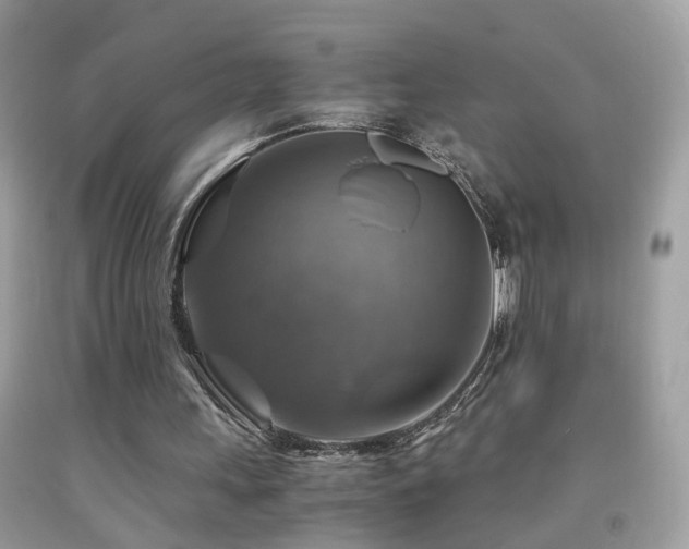 X0000091860243200709051214