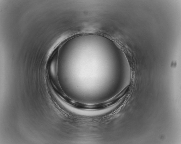 X0000091860244200709051214