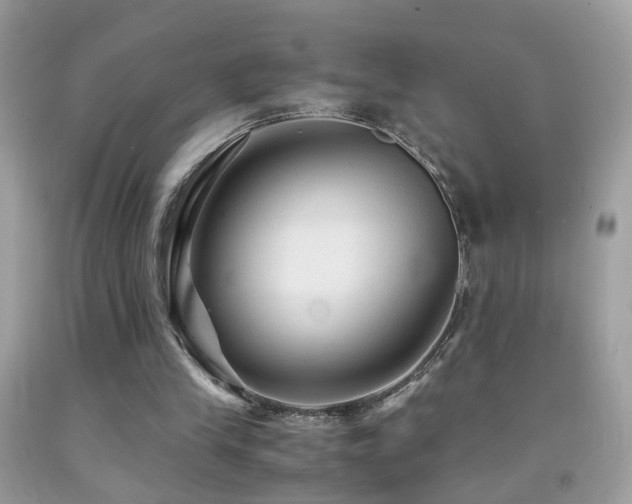 X0000091860245200709051214