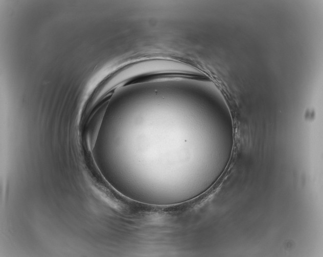 X0000091860246200709051214