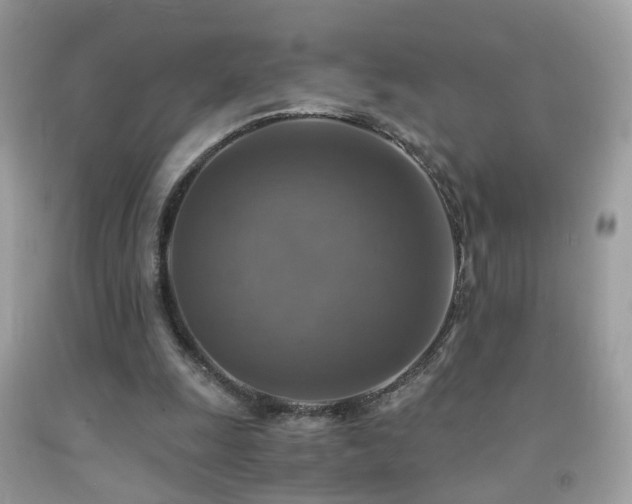 X0000091860247200709051214