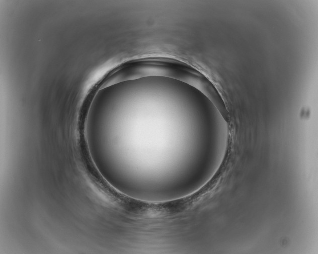 X0000091860248200709051214