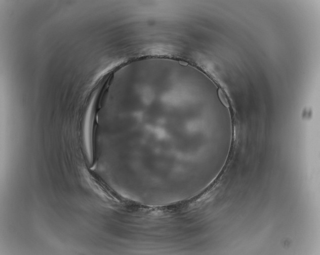 X0000091860249200709051214