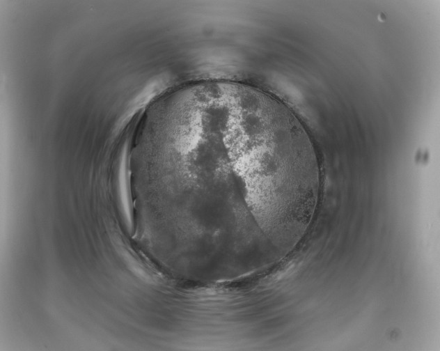 X0000091860250200709051214