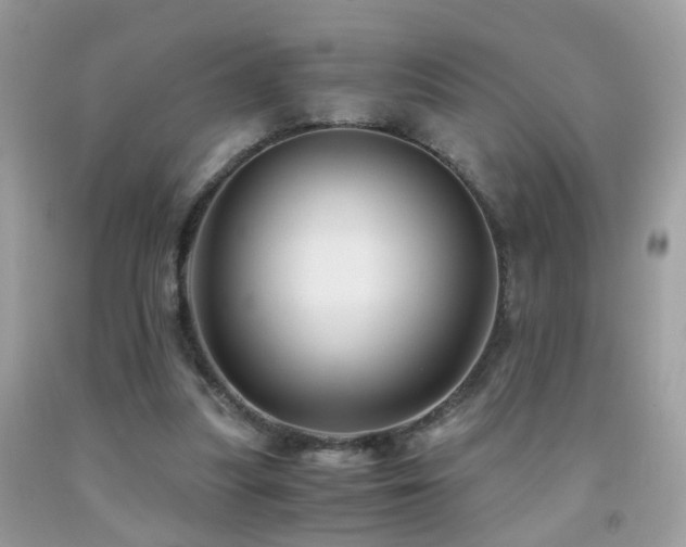 X0000091860251200709051214