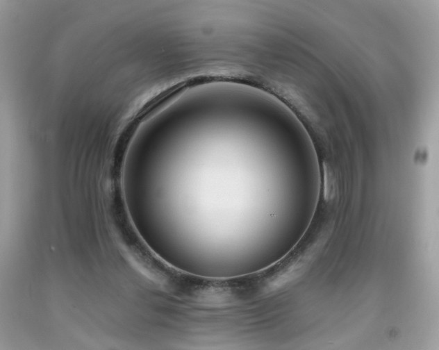 X0000091860252200709051214