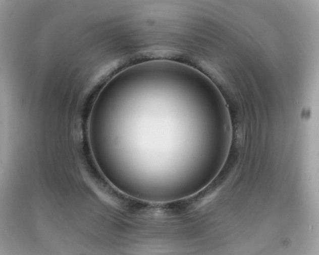 X0000091860254200709051214