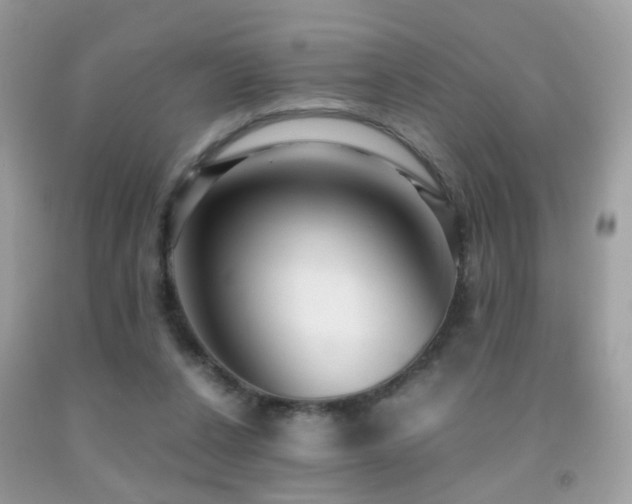 X0000091860256200709051214