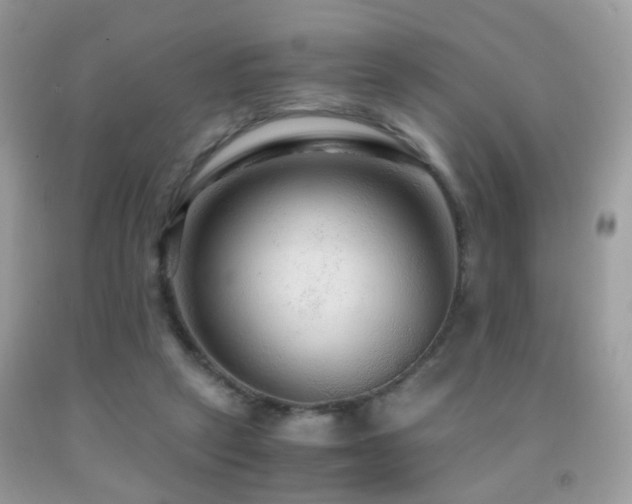 X0000091860257200709051214