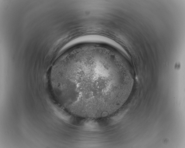 X0000091860258200709051214