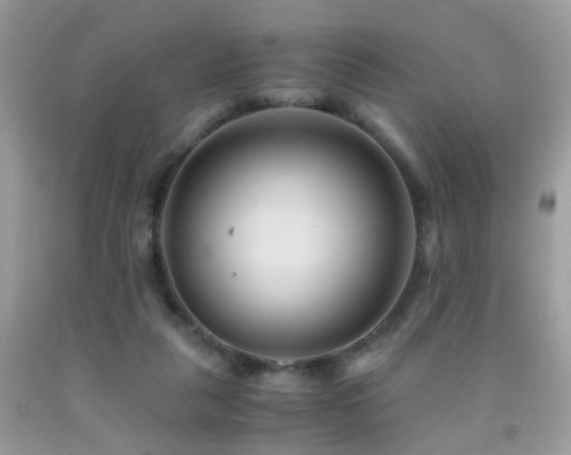 X0000091860259200709051214