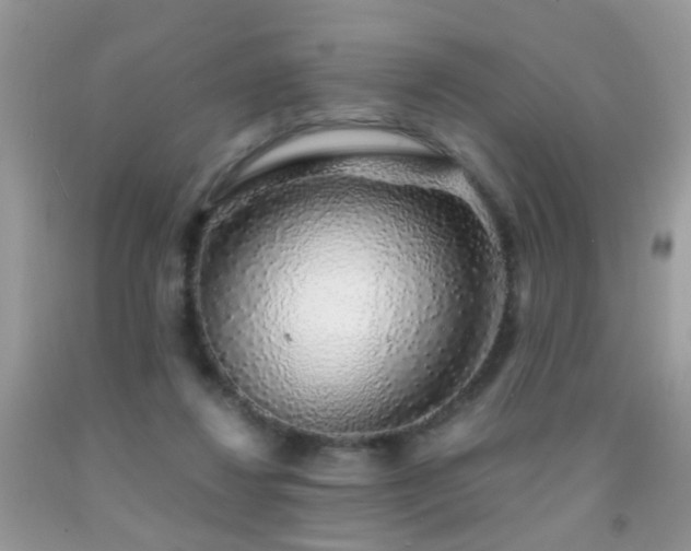 X0000091860260200709051214