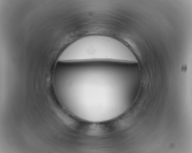 X0000091860261200709051214