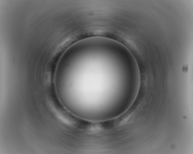 X0000091860262200709051214