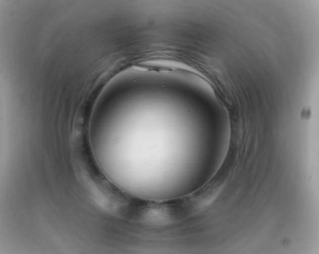 X0000091860263200709051214