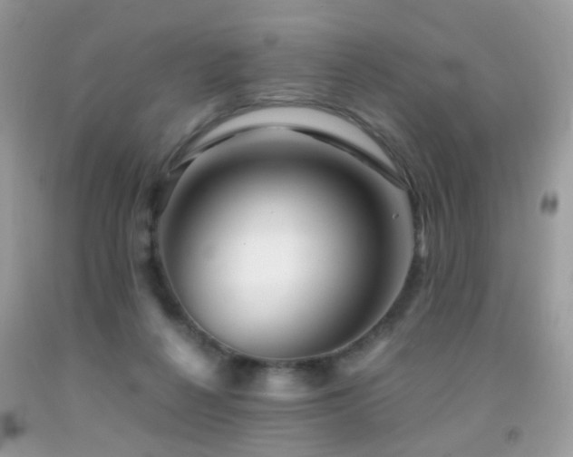 X0000091860264200709051214