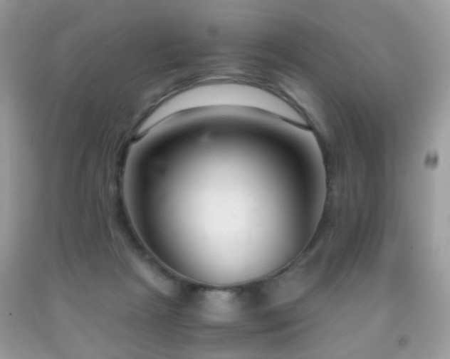 X0000091860265200709051214