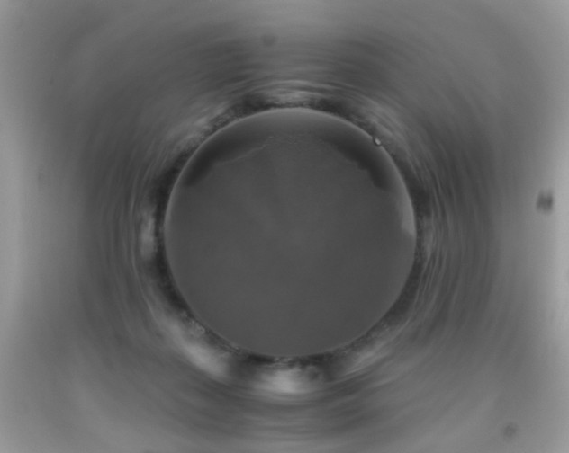 X0000091860267200709051214