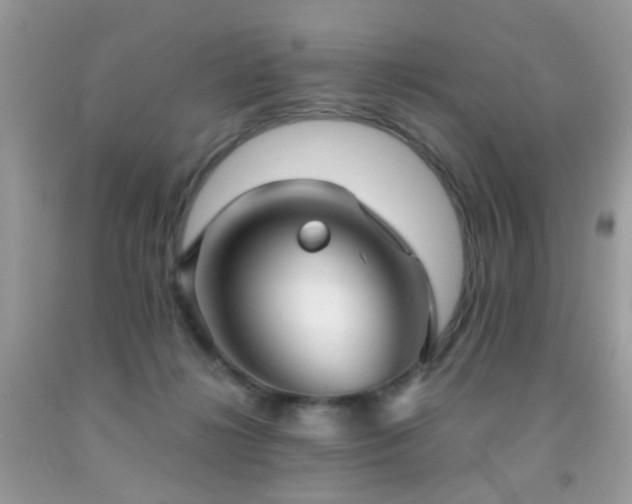 X0000091860268200709051214