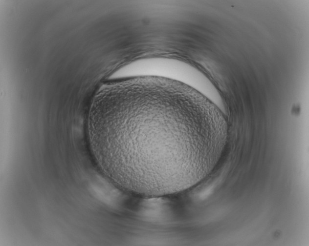 X0000091860269200709051214