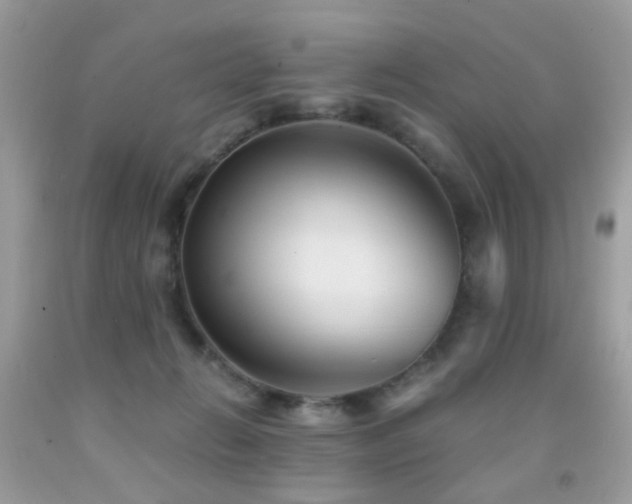 X0000091860270200709051214