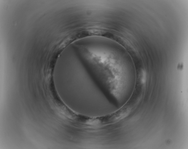 X0000091860271200709051214