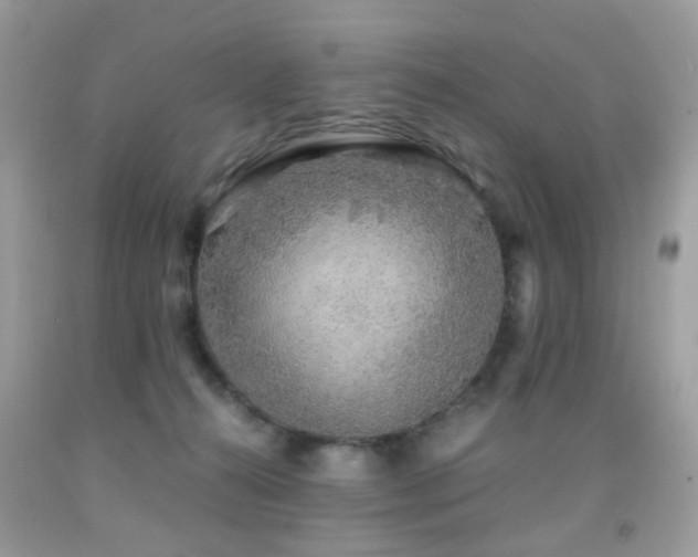 X0000091860272200709051214