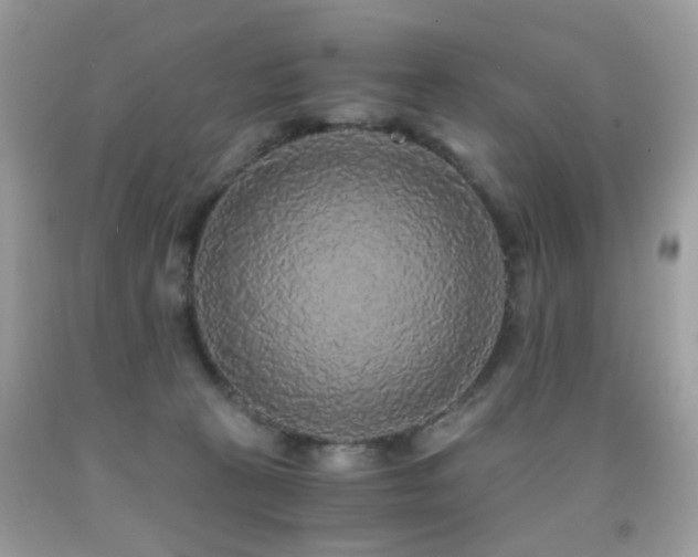 X0000091860273200709051214