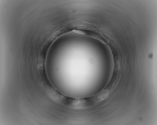 X0000091860274200709051214