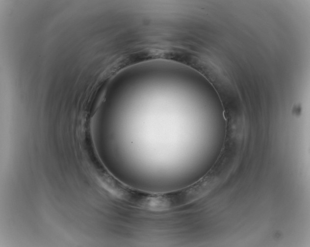 X0000091860275200709051214