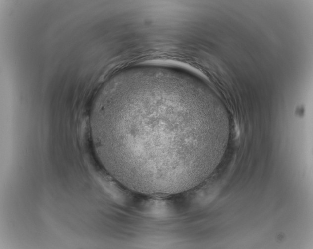 X0000091860276200709051214