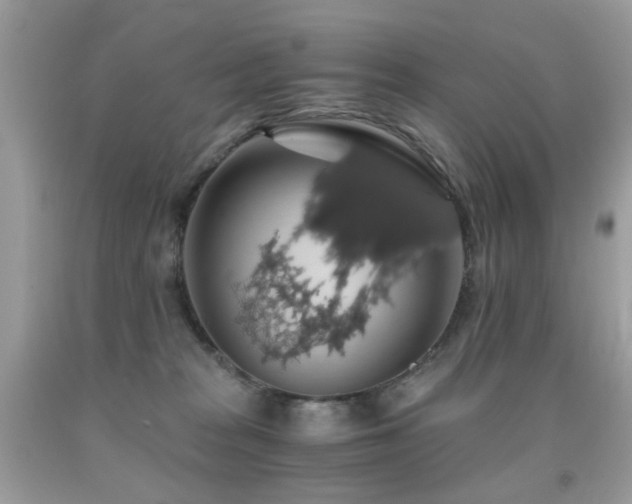 X0000091860277200709051214