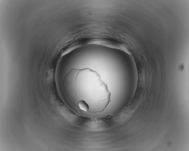 X0000091860278200709051214