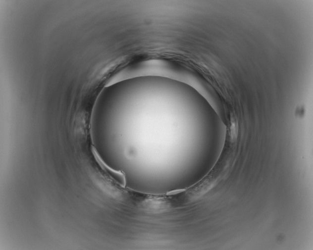 X0000091860280200709051214