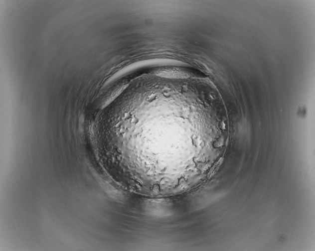 X0000091860281200709051214