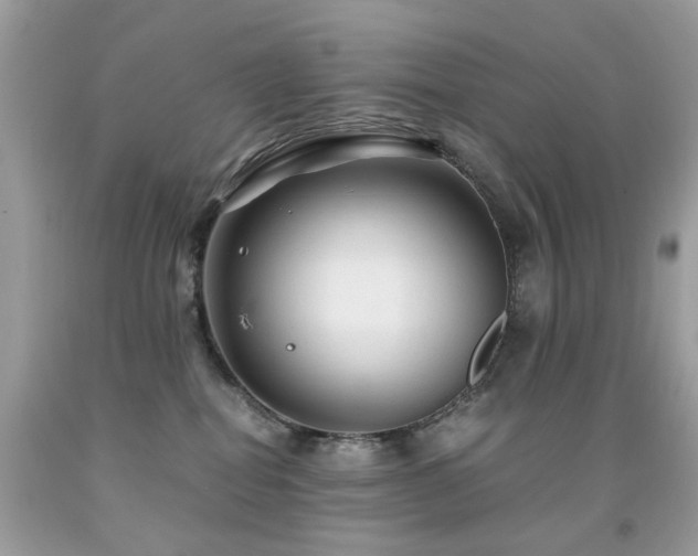 X0000091860282200709051214