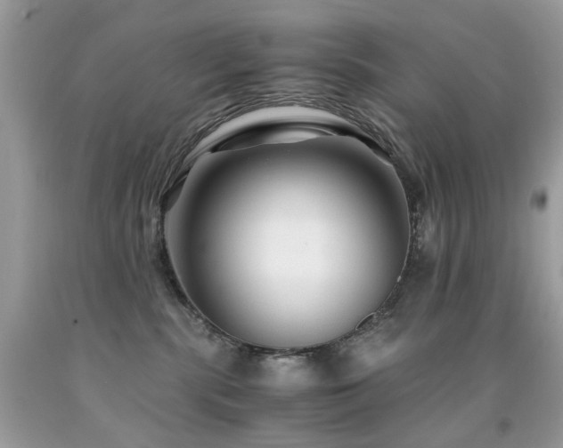 X0000091860283200709051214