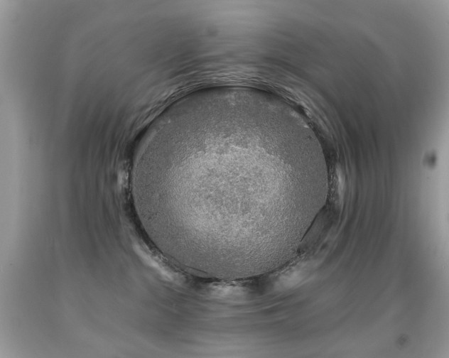 X0000091860284200709051214