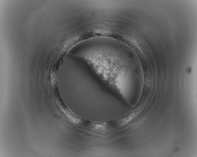 X0000091860285200709051214